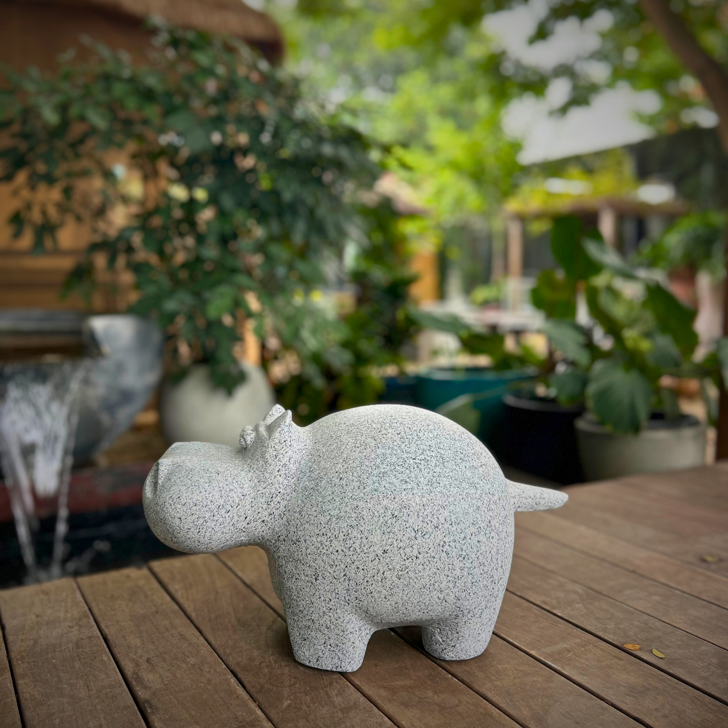 Hippo Heads
