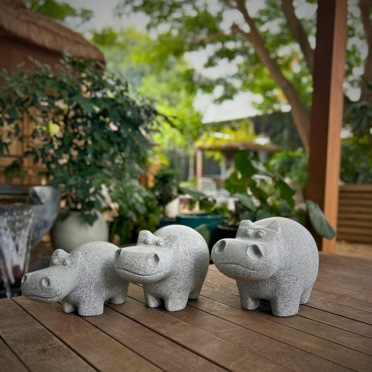Hippo Heads