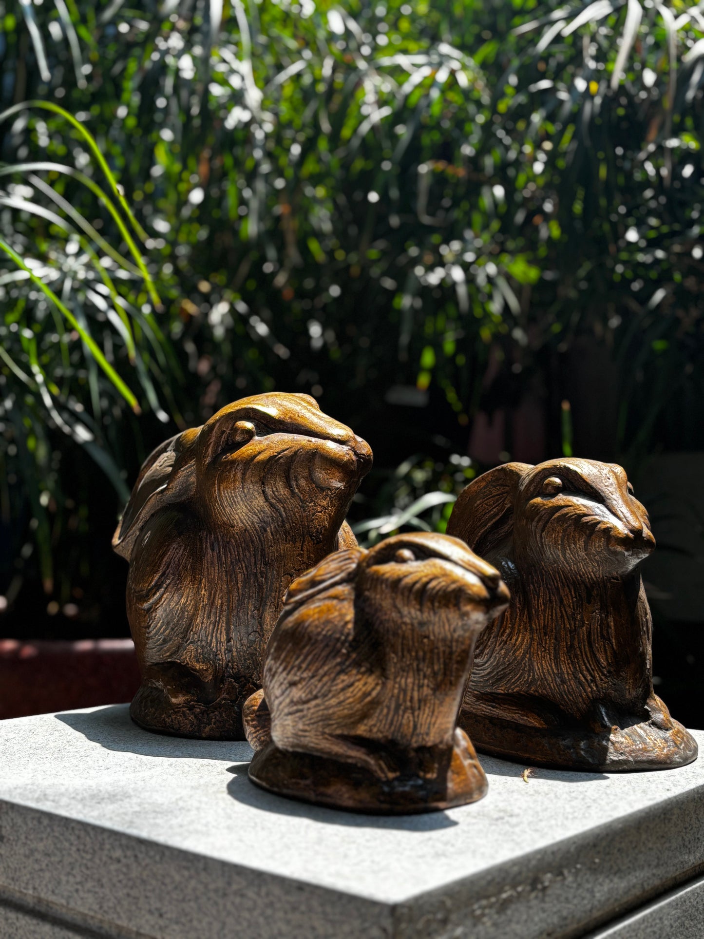 FRP Bronze Bunny