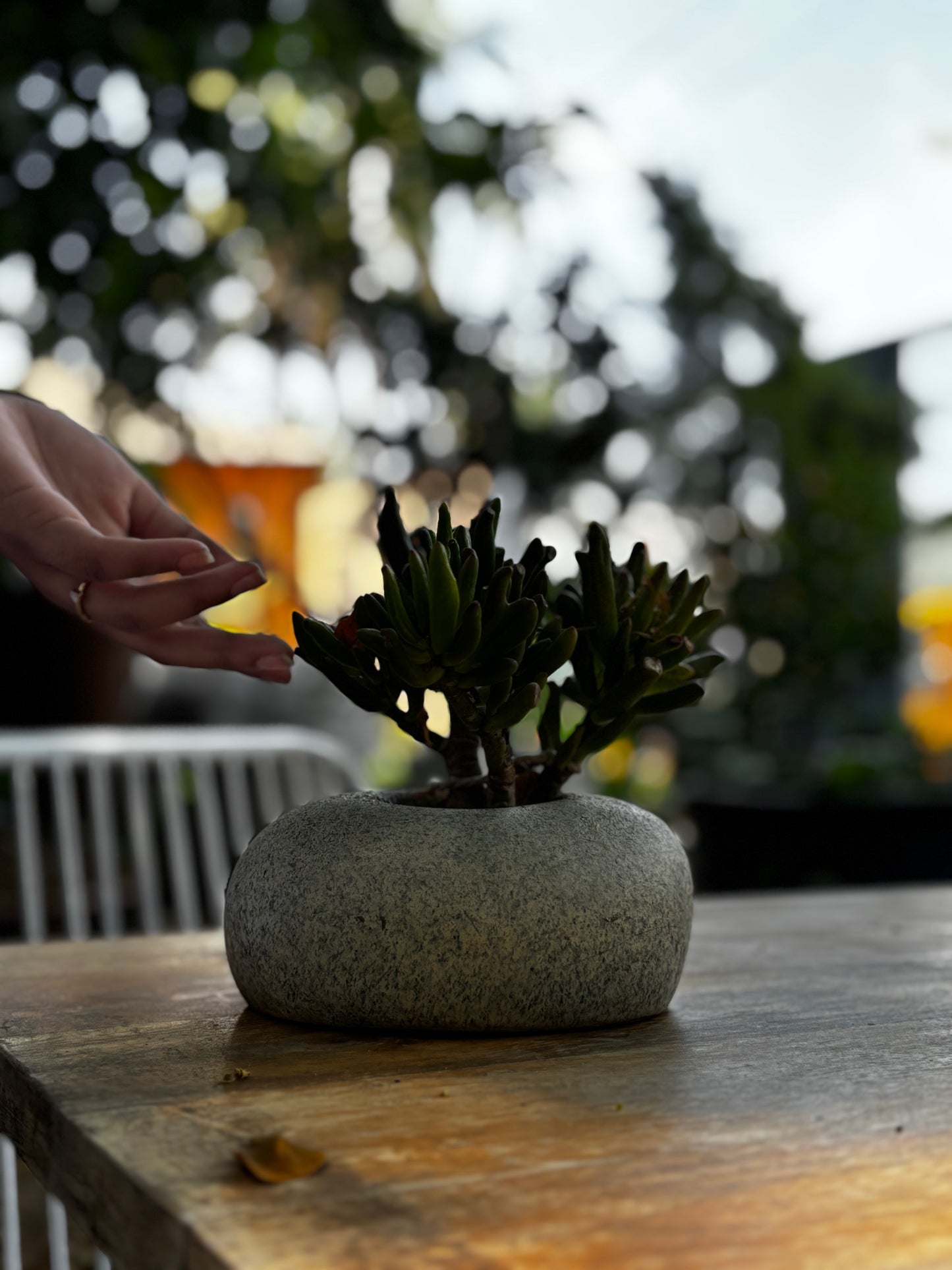 Pebble Planter