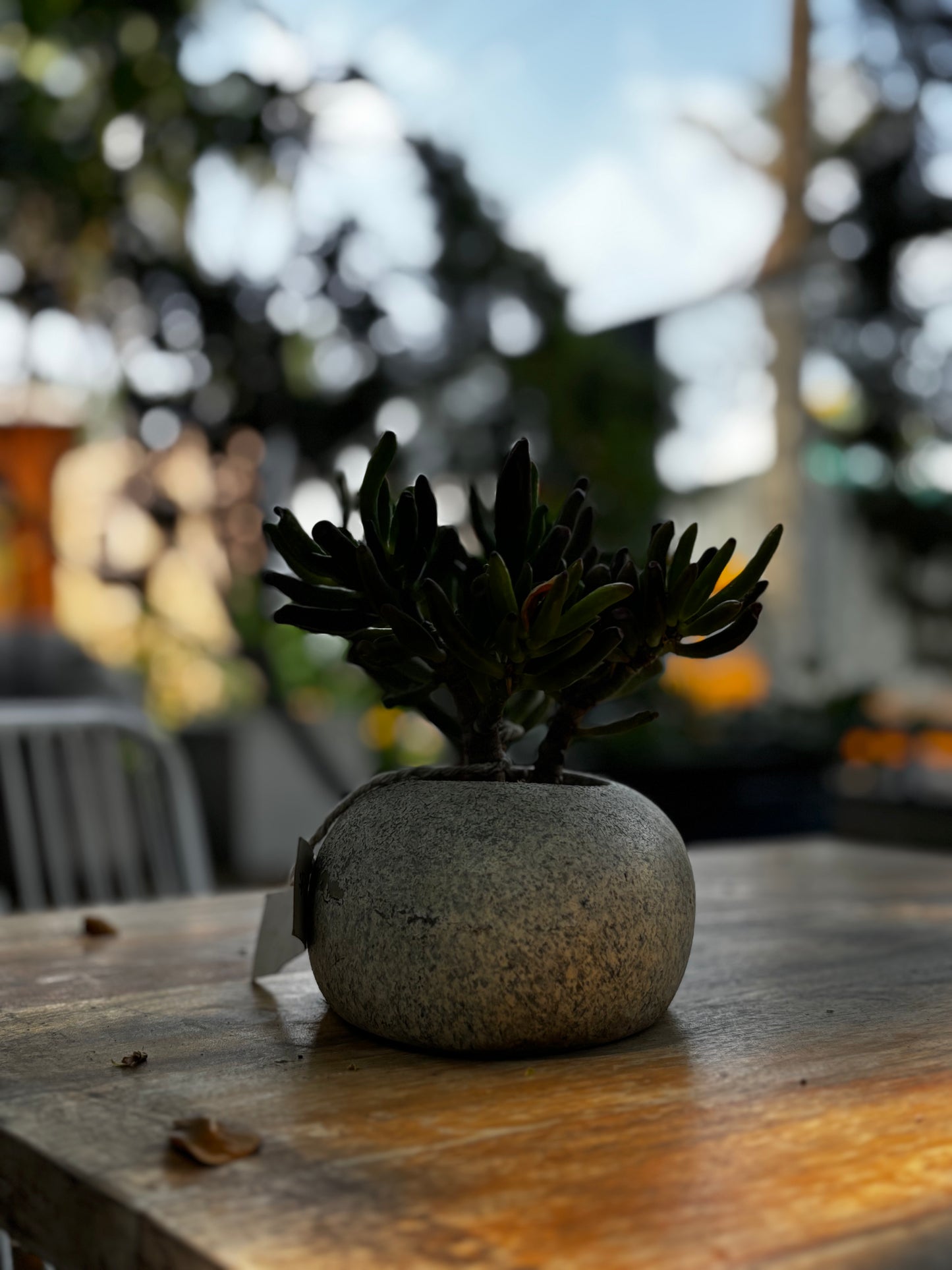 Pebble Planter