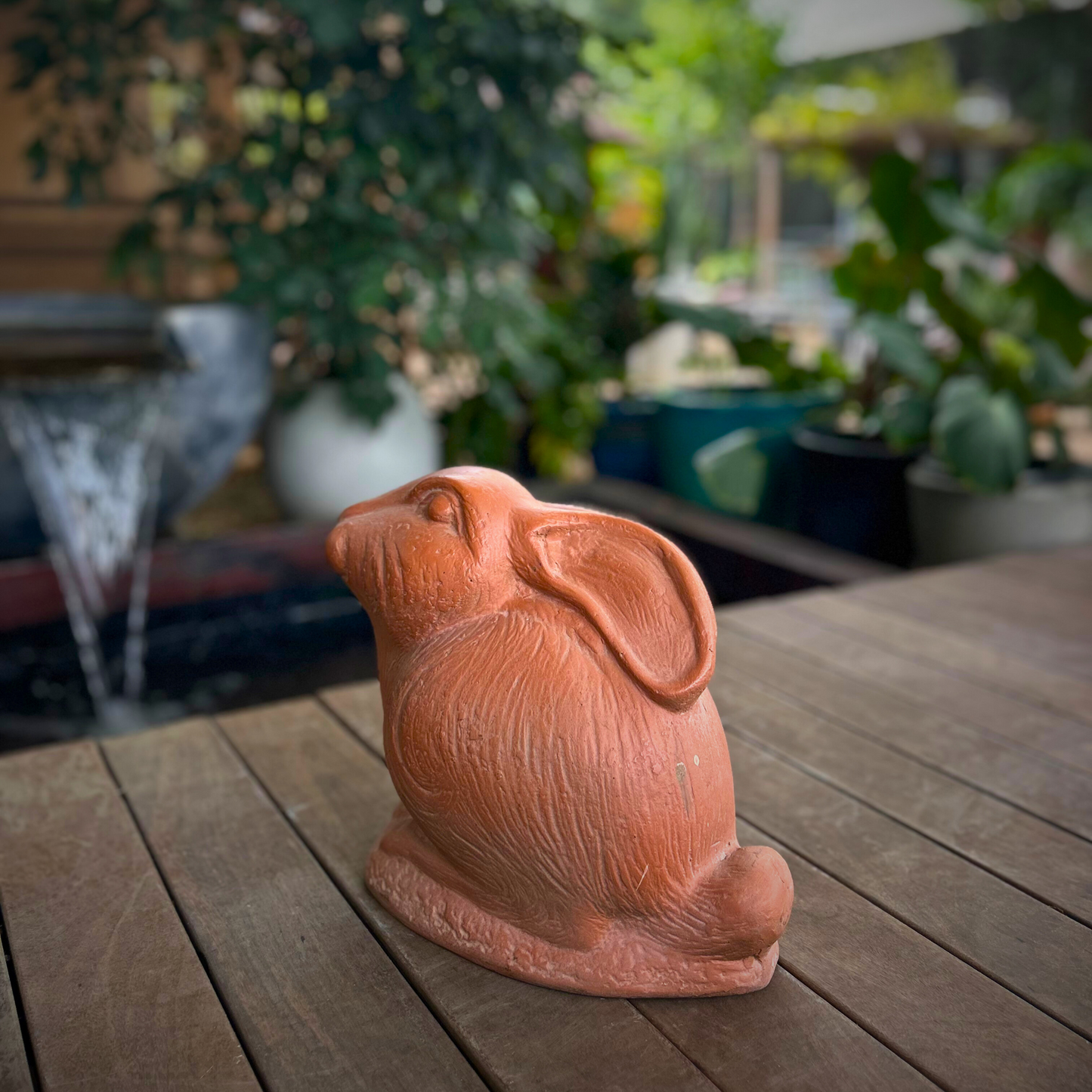 Rabbit Delight