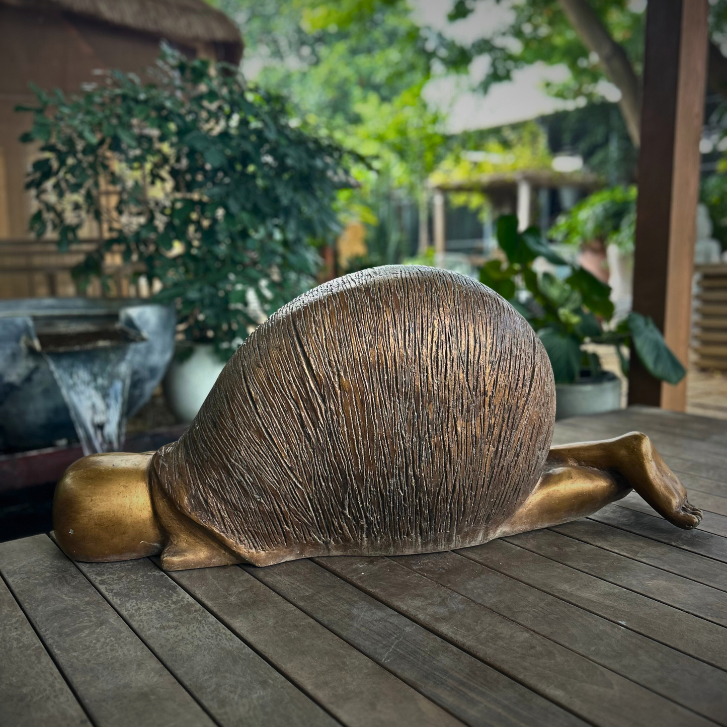 Serene Shell