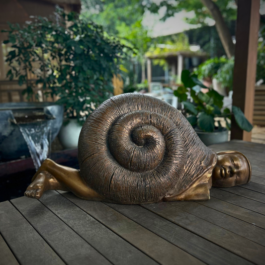 Serene Shell