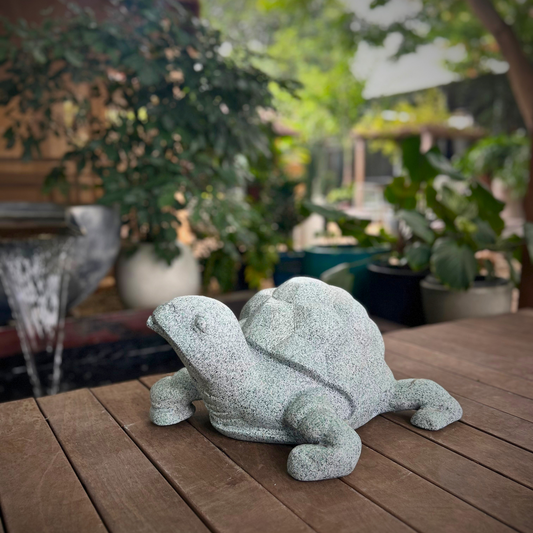 Turtle Grace