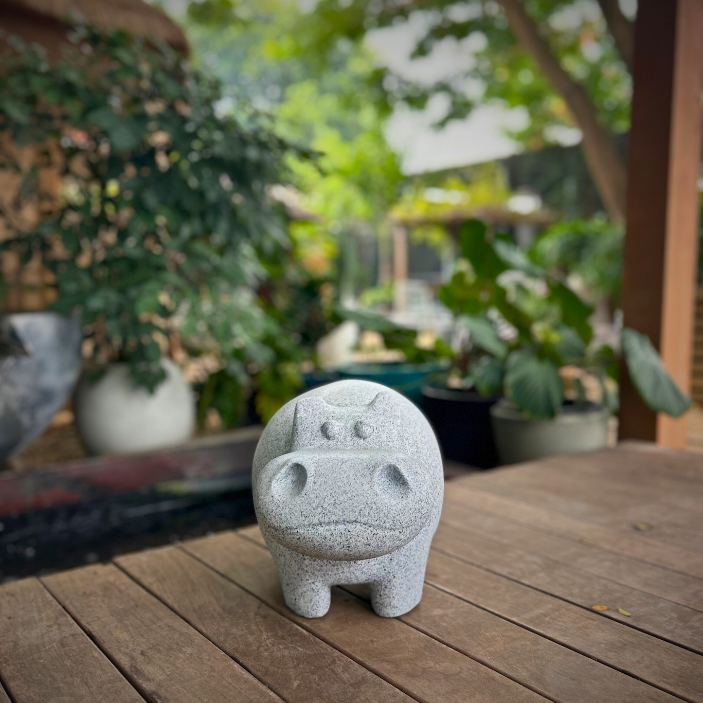 Hippo Charm