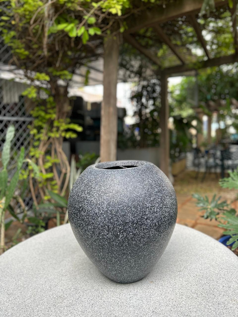 Speckled Charcoal Grey Ovoid Plante