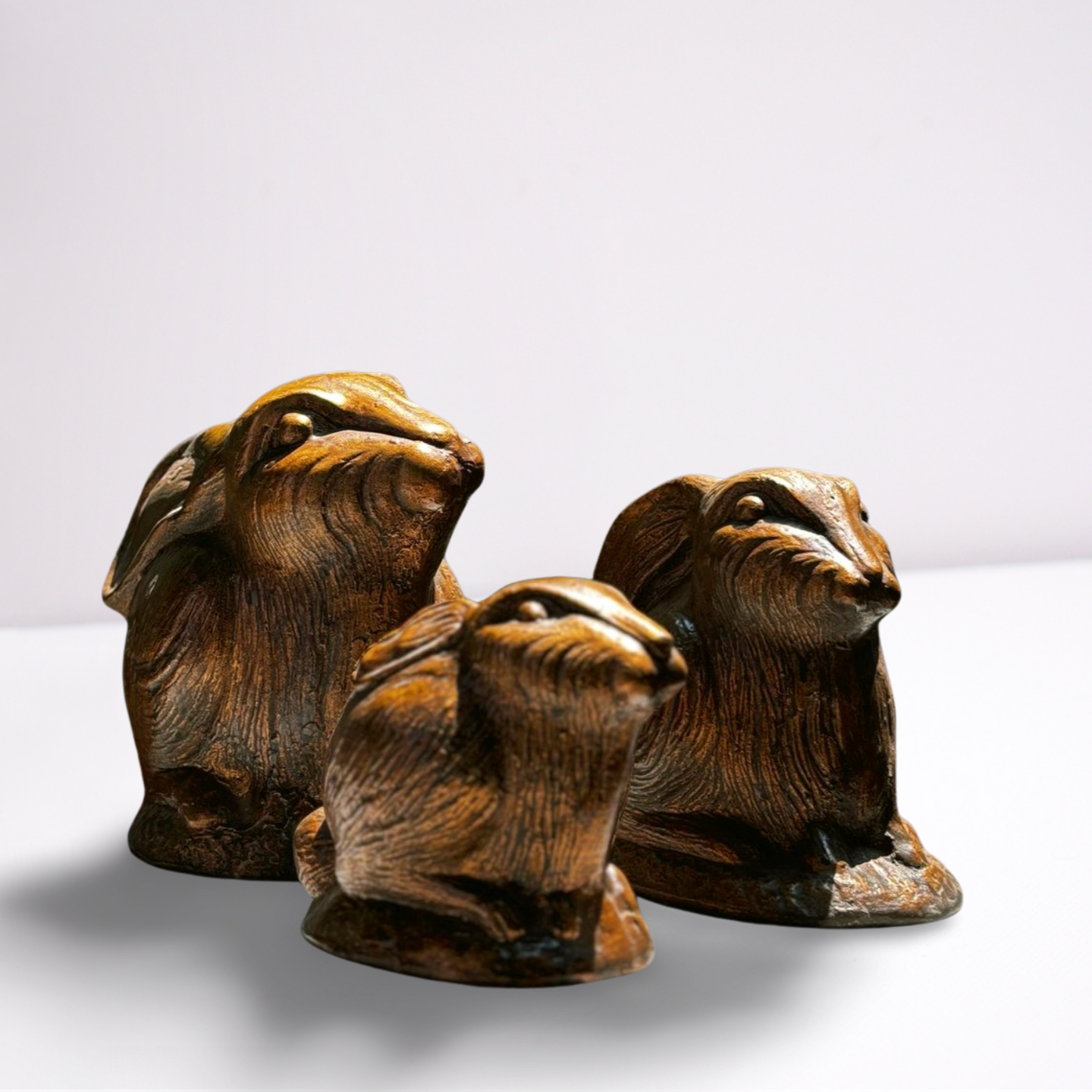 FRP Bronze Bunny