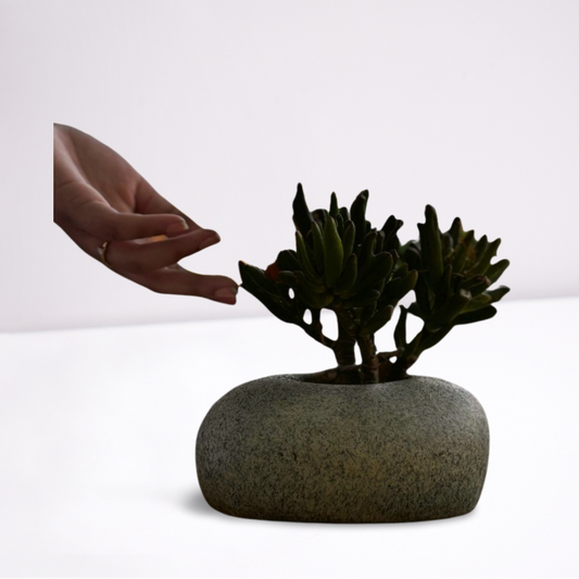 Pebble Planter
